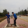 Đoàn thanh niên VKS tỉnh Điện Biên tham gia trồng cây xanh trên tuyến đường Noong Bua - Pú Tỉu